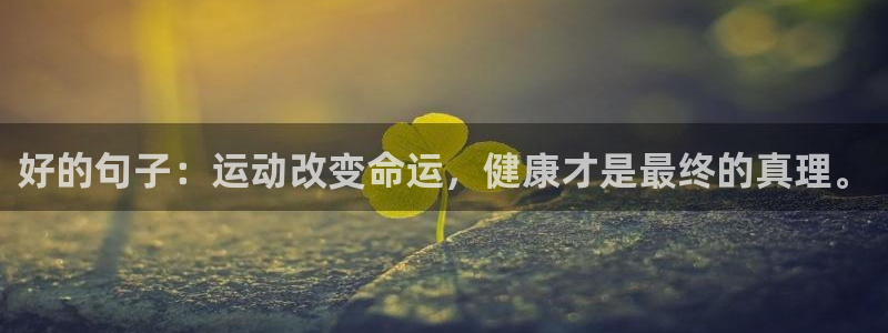 新球体育网