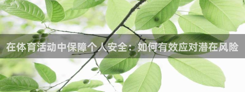 新球体育是正规平台吗
