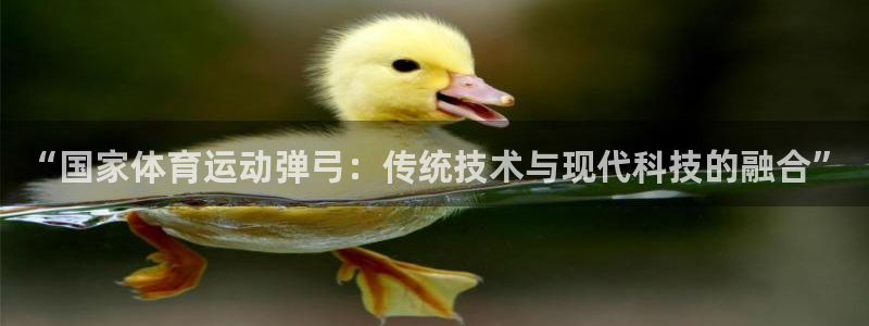 新球体育为什么打不开