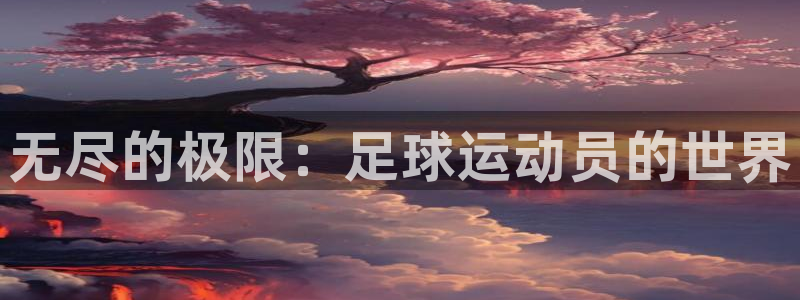 新球体育法甲