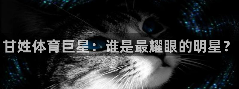 新球体育欧联杯：甘姓体育巨星：谁是最耀眼的明星？