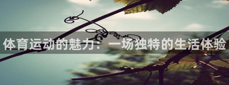 新球体育触屏版