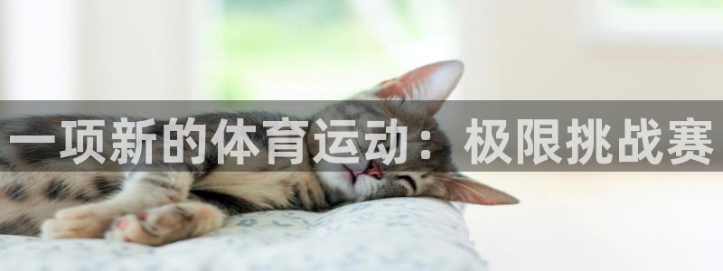 新球体育没有了盘口