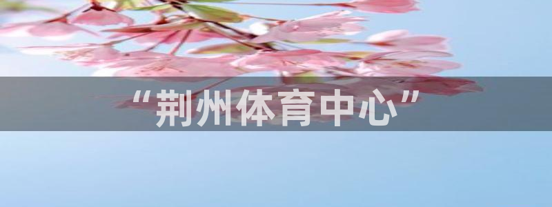 新球体育赛程预告