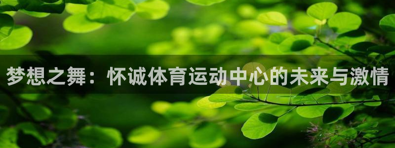 新球体育里面看球怎么是安静的呢：梦想之舞：怀诚体育运动中心的未来与激情